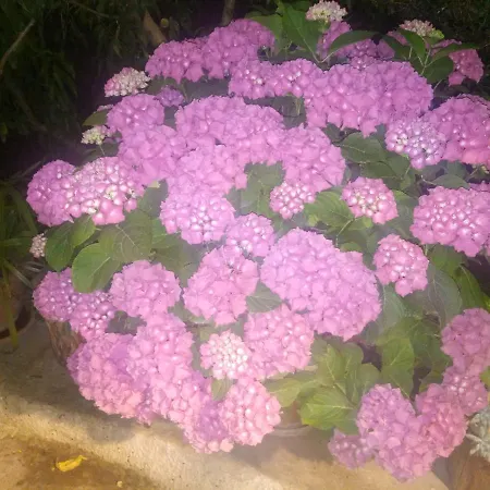 Trullo Saraceno * Ostuni