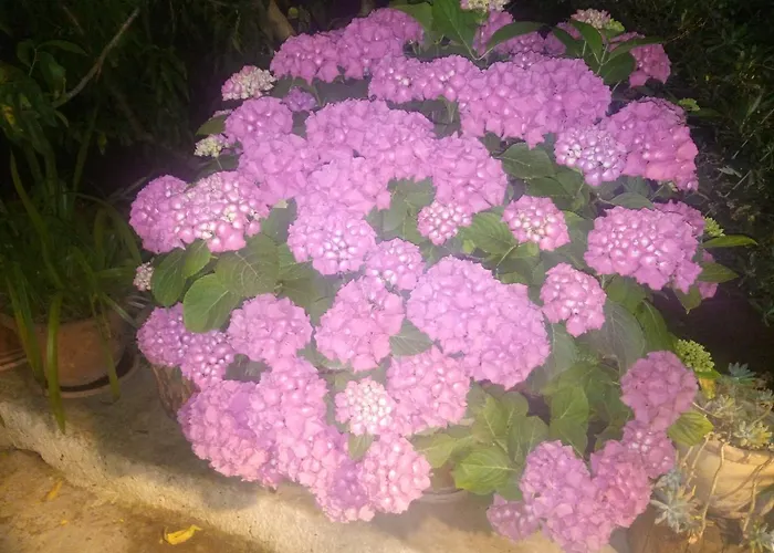 Trullo Saraceno * 오스투니